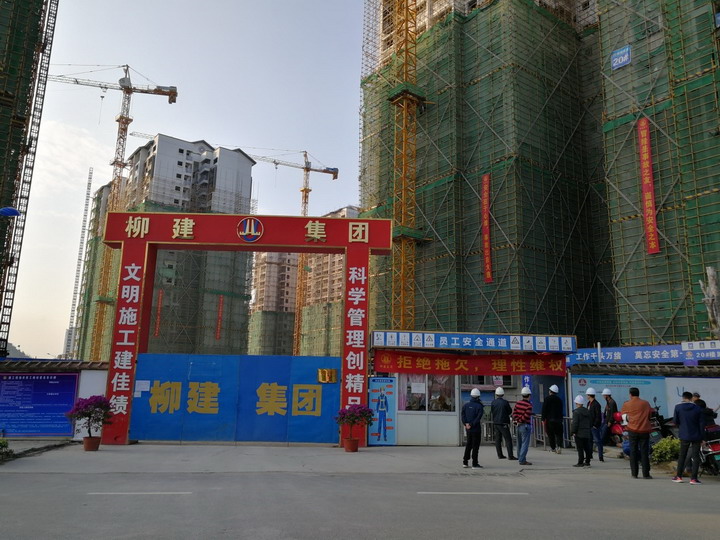 20190203-2.jpg 20190203-2.jpg